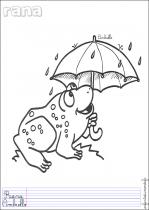 coloriage-grenouille-3